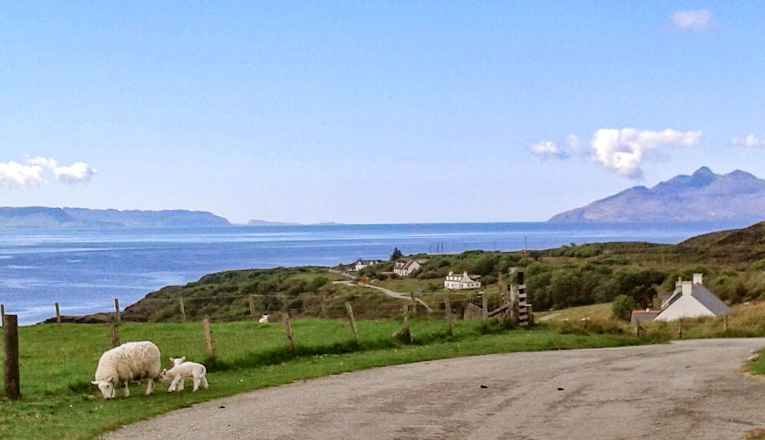 Elgol View